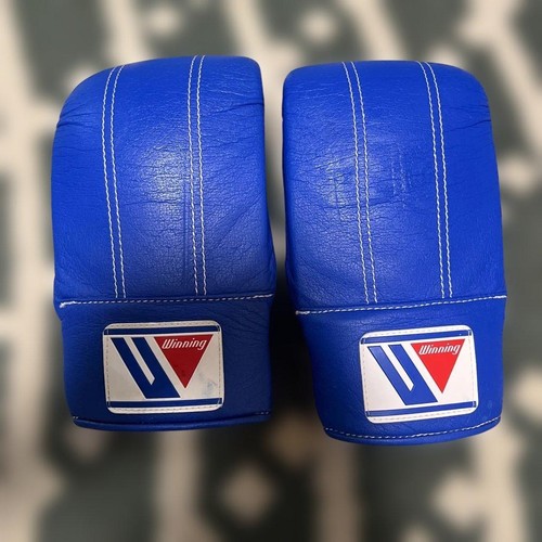 Winning boxing bag punching - bag,
