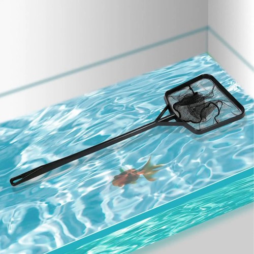 Small swimming pool leaf - swimming,
