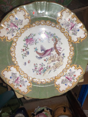 Antique minton cockatrice - antique,