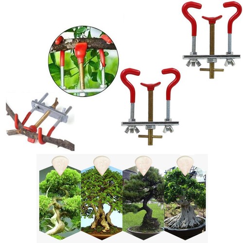 Diy tree branch trunk - tree,