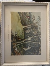 Pheasant Shooting Print