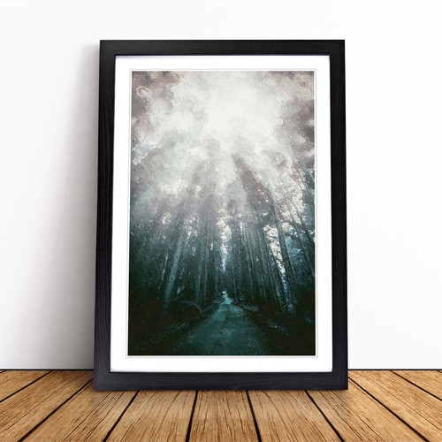 Down the forest path - down,