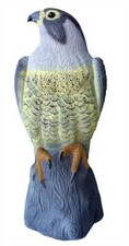 Falcon Bird Deterrent Garden