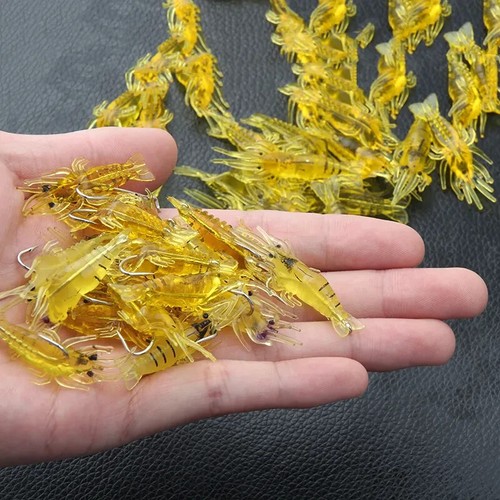 Carp sea fishing - lure, hook