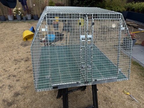 Guardsman dog cage - dog,