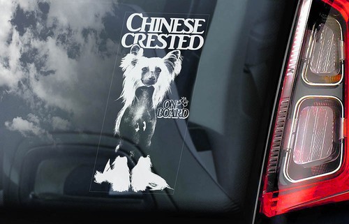 Chinese crested dog car - chinese,