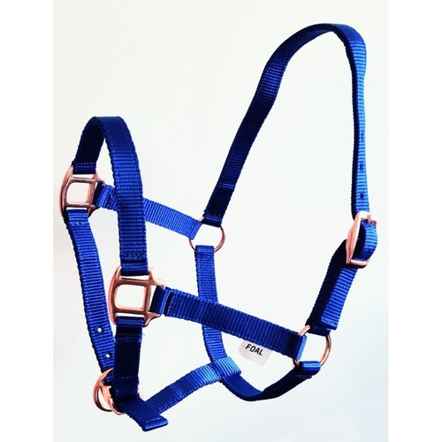 Foal headcollar rose - foal,