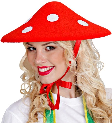 Mushroom hat toadstool - mushroom,