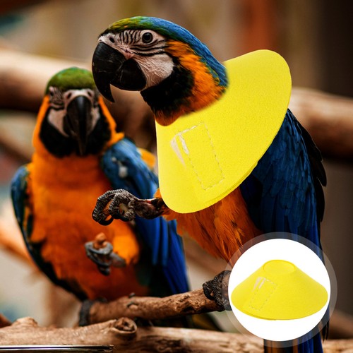 Buster collar for bird - for,