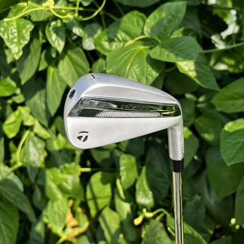 2025 taylormade p790 - taylormade, chrome