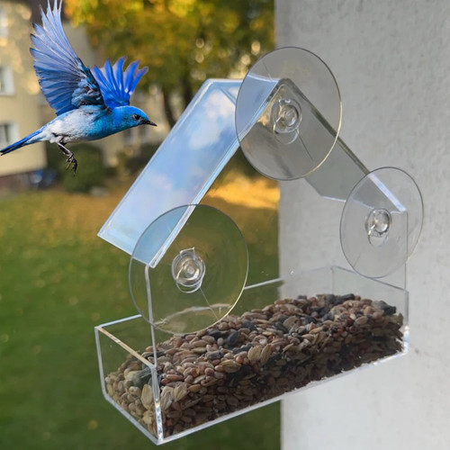 Transparent window feeder - window,