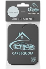 1X1  Premium car air