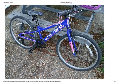 Kids bike carrera suruna - kids,