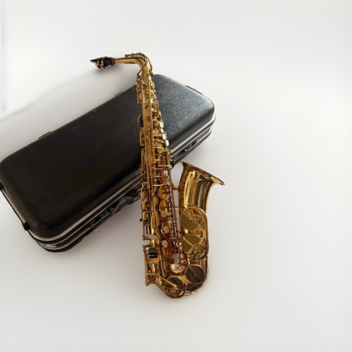Trevor james the horn alto - horn",