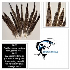 Pheasant Tail Feathers Hen