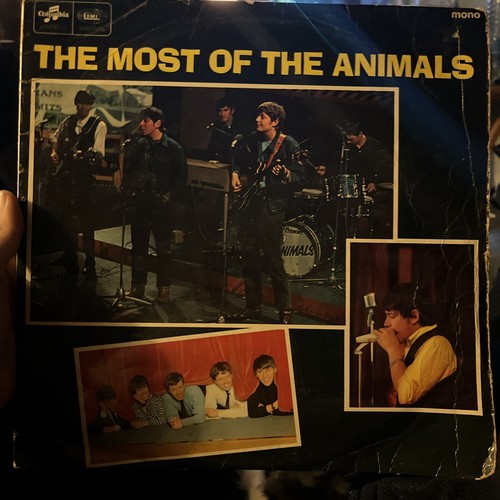 The animals - the, "the
