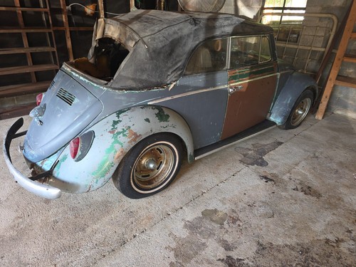 1964 volkswagen beetle - beetle,
