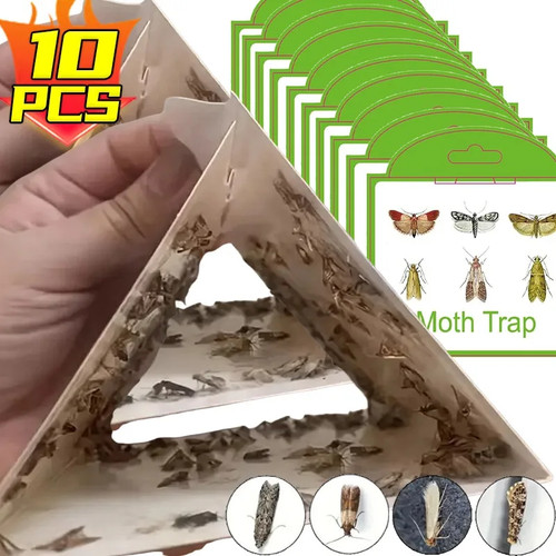 Pest moth traps pheromone - moth,