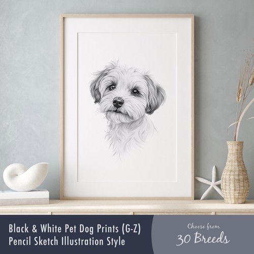 Black white dog - dog, print