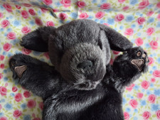 The Puppet Company hand