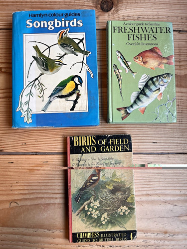 Vintage nature book lot - book,