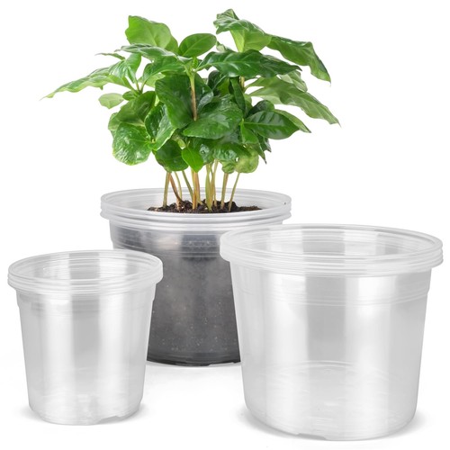 Large clear nursery pots - large,