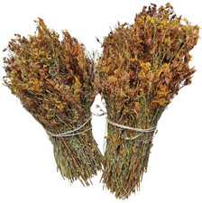St. John's Wort Herbal Tea