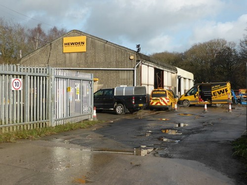 Photo hewden plant - plant,
