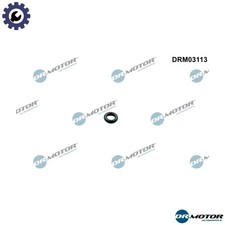 SEAL RING INJECTOR DRM03113