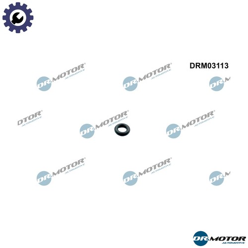 Seal ring injector - injector, drm03113