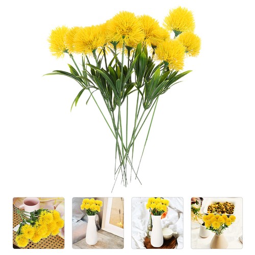 Pcs simulation dandelion - simulation,