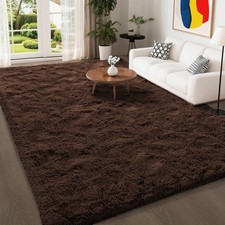 Fluffy Rugs Anti Slip Large