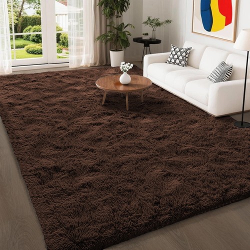Fluffy rugs anti - rugs, slip