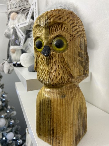 Chainsaw carved little owl - carved,