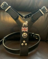 FRENCH BULLDOG HARNESS REAL