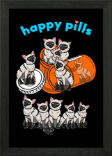 Happy Pills Kitten Ragdoll