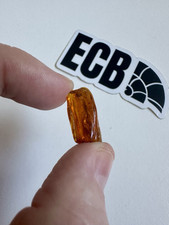 Baltic Amber With Large Mosquito Inclusion. 100% Real, No Fakes. Uk Seller 🇬🇧