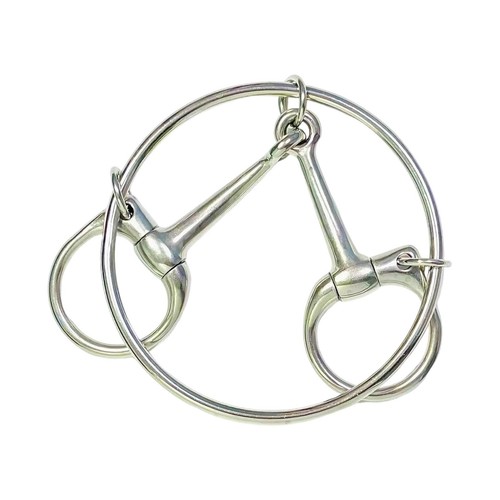 Horse loose ring training - ,
