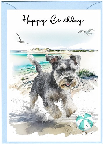 Miniature schnauzer dog - miniature,