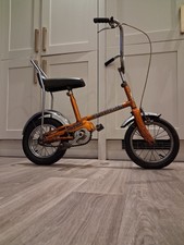 Vintage Original Paint Raleigh