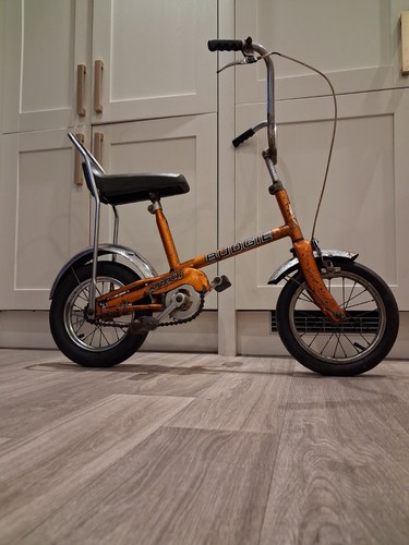 Vintage original paint - original, raleigh