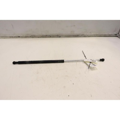 Bonnet damping system - bonnet, ls