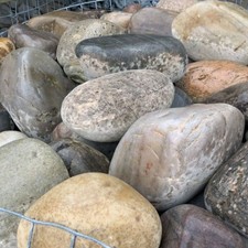 Scottish garden decorative - scottish,