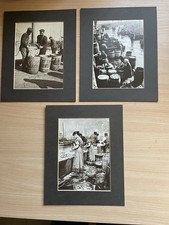 Frank Sutcliffe Whitby