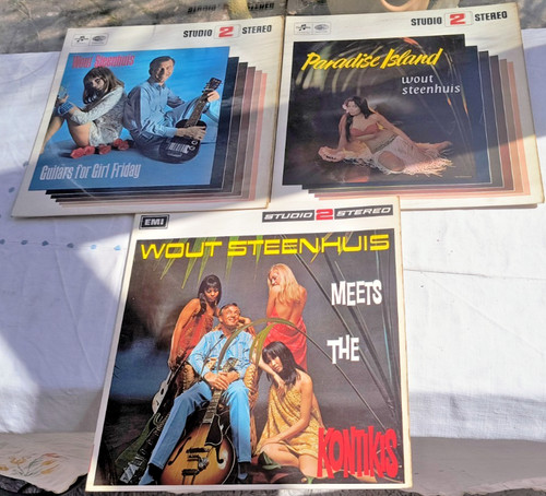 Wout steenhuis vinyl lp - wout, 3