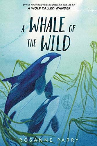 Whale the wild - of,