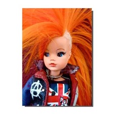 Punk rock pedigree - rock,