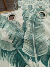 Lovely Cream And Green