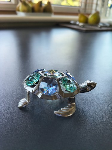 Silver coloured tortoise with - silver,
