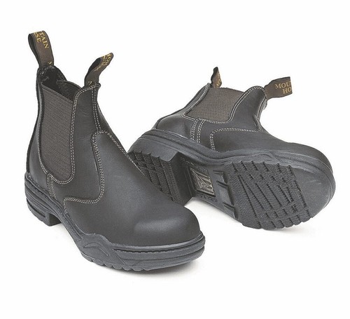 Mountain horse protective - mountain,